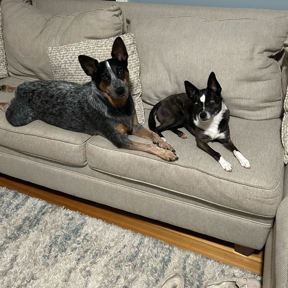 Meet your Posher, Christina - Picture 2 of 7